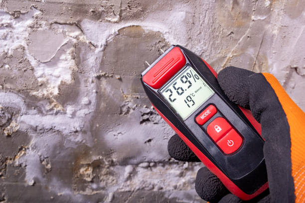 Best Insurance-Related Mold Remediation in Carrizo Springs, TX